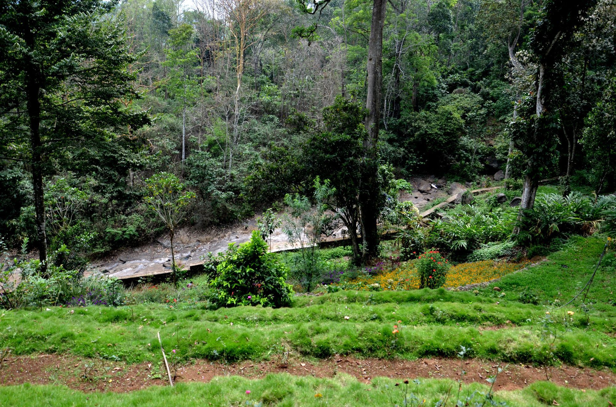 فندق Bamboo Dale مونار المظهر الخارجي الصورة